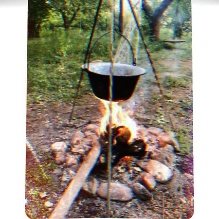 Szentendrei Sziget, Modern Faház, Télen Is Nyaraló