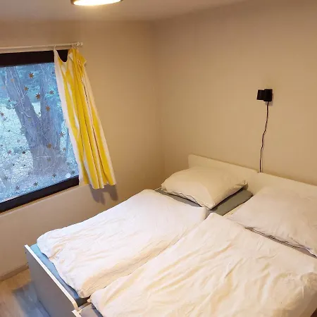 Szentendrei Sziget, Modern Faház, Télen Is Nyaraló