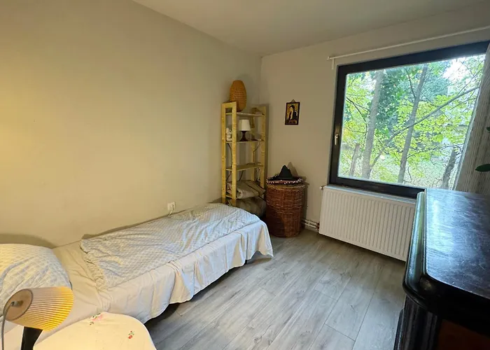 Szentendrei Sziget, Modern Fahaz, Telen Is Szigetmonostor